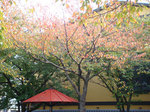 DSC09086.jpg